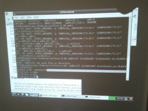 Der Desktop der Raspbian “wheezy” Distribution, Midori Webbrowser inklusive
